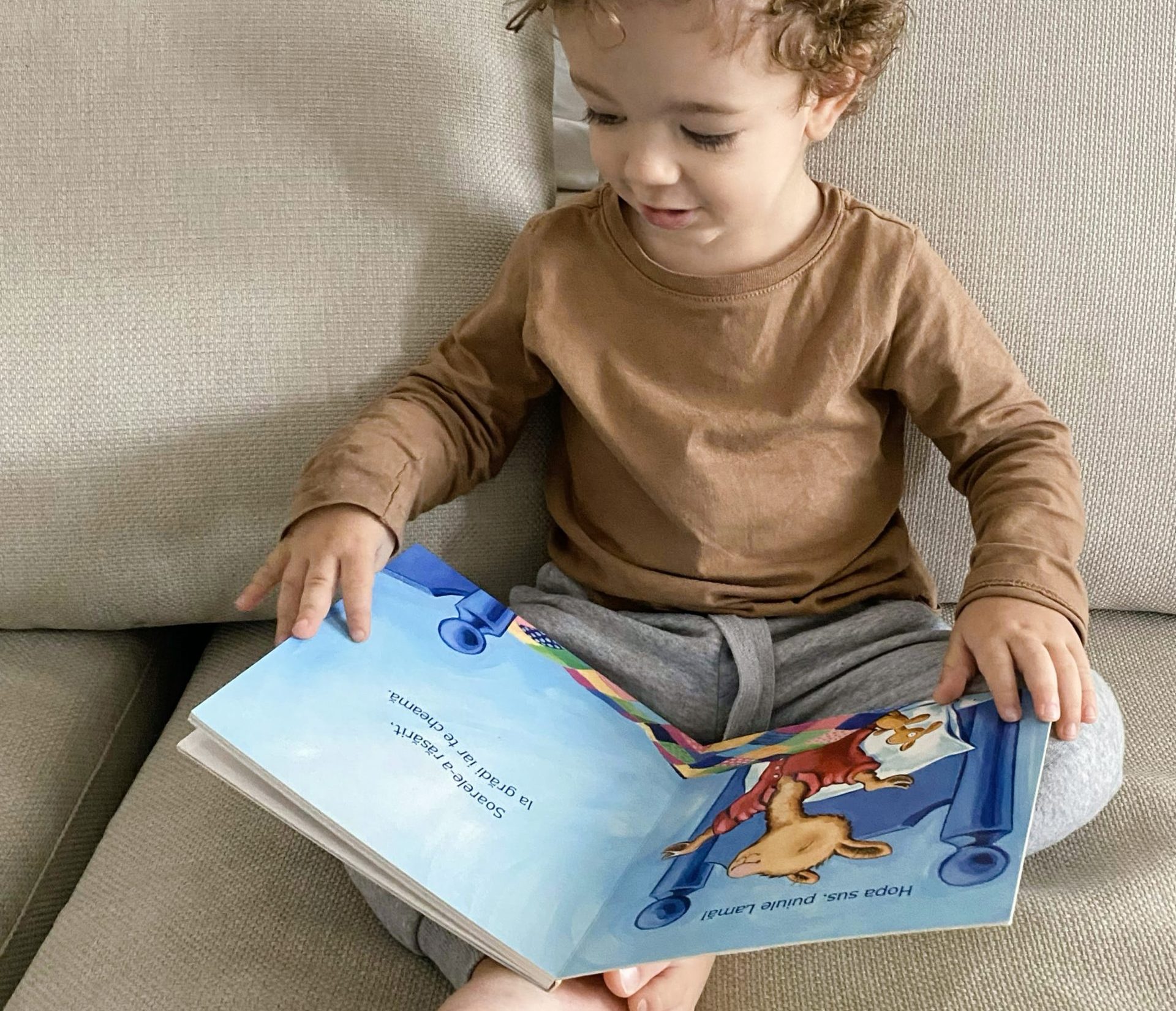 Lectura pentru bebelusi