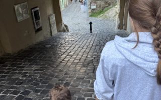 cuvinte magine